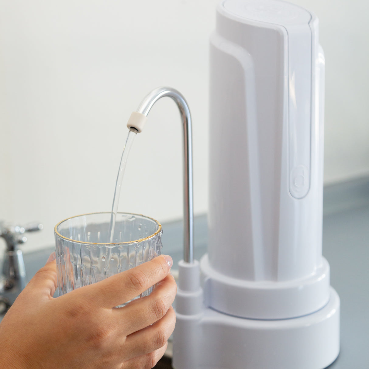 Filtro Purificador AQUA + 2 Filtros Dvigi