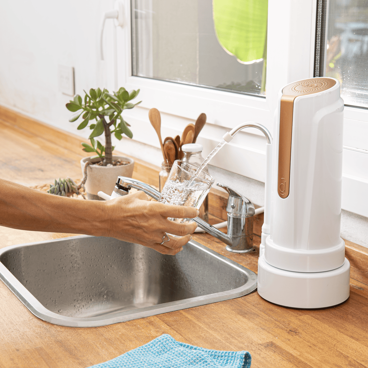 Purificador de Agua Anti Arsénico DVIGI AS PLUS + 2 Filtros Adicionales - DVIGI Purificadores de Agua Argentina