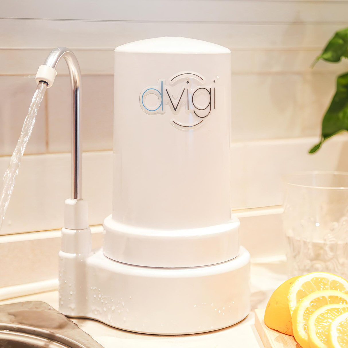 DVIGI COMPACT - Filtra 7000 litros + 1 Filtro Repuesto