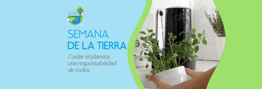 Cinco plantas que purifican el aire de tu casa, según la NASA
