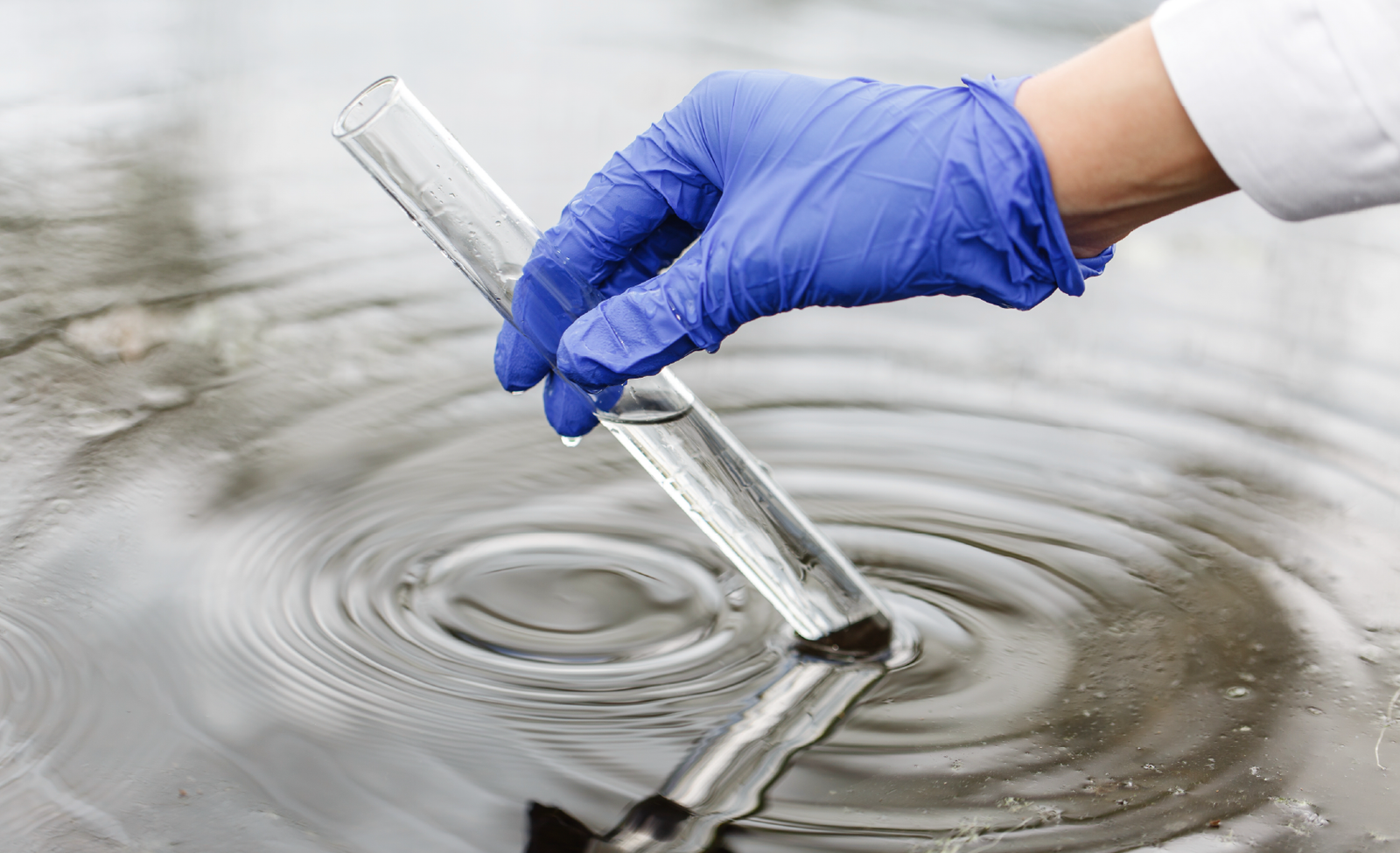 Problemáticas del Agua