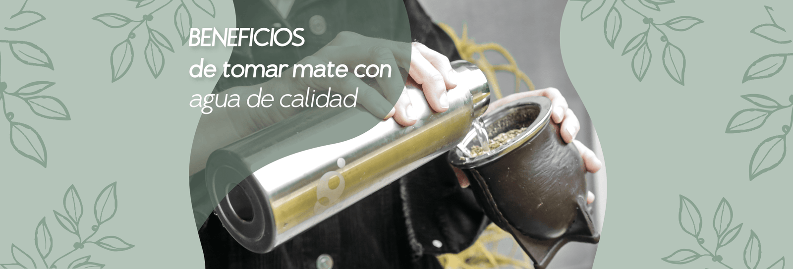 Beneficios de tomar mate con agua purificada - DVIGI Purificadores de Agua Argentina