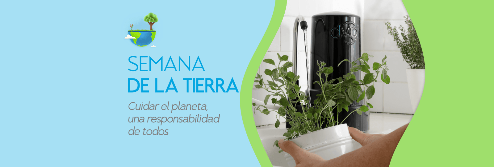 Cinco plantas que purifican el aire de tu casa, según la NASA - DVIGI Purificadores de Agua Argentina