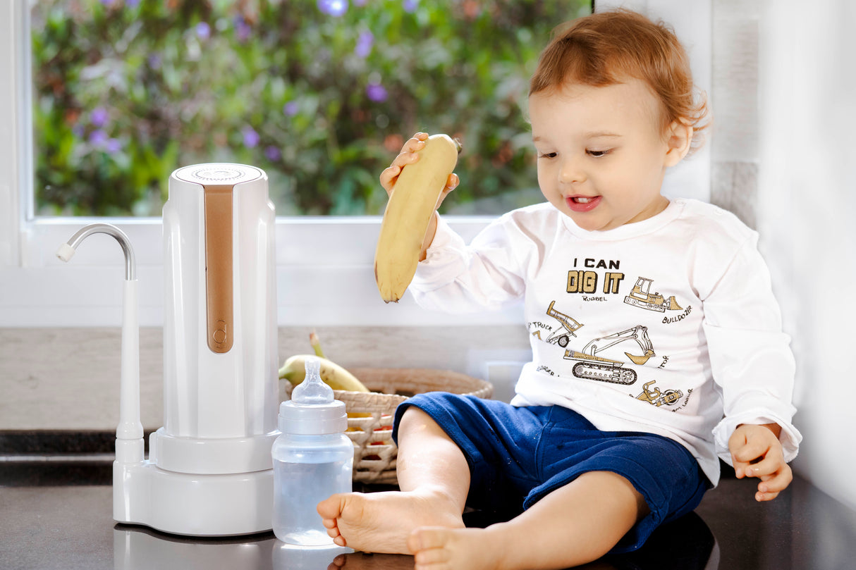 Filtro Repuesto Modelo As Plus X2