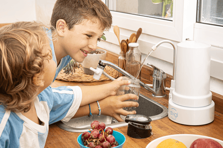 Imagen Purificador de Agua Dvigi Compact en contexto