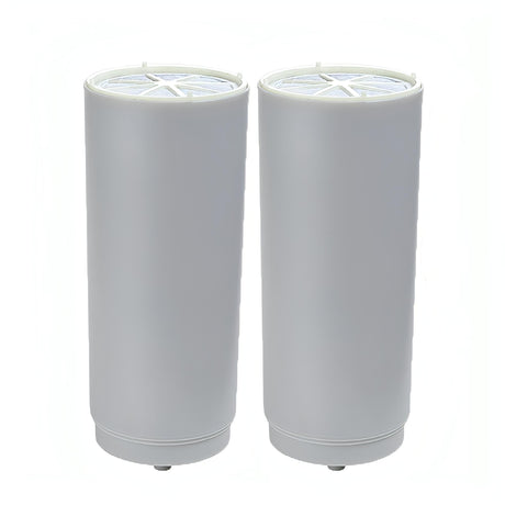 Repuesto de Filtro para Purificador de Agua COMPACT x2 - DVIGI Purificadores de Agua Argentina