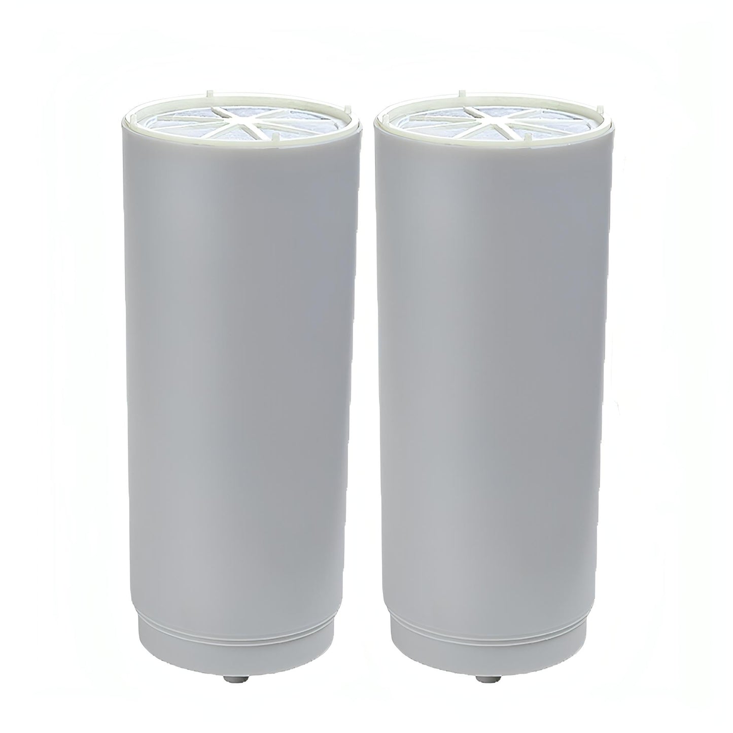 Repuestos de filtro de agua COMPACT x 2 unidades | DVIGI